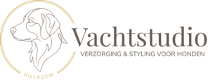 vachtstudiohillegom.nl